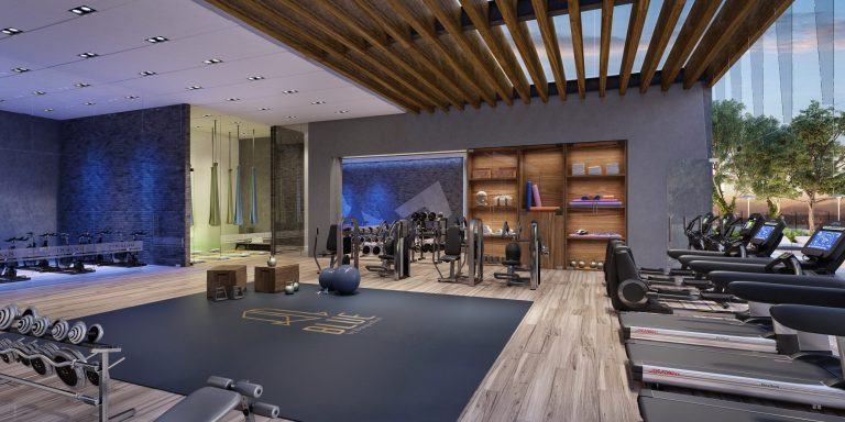 Blue bosque real Gym