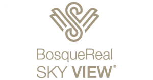 Logo Sky View sin fondo