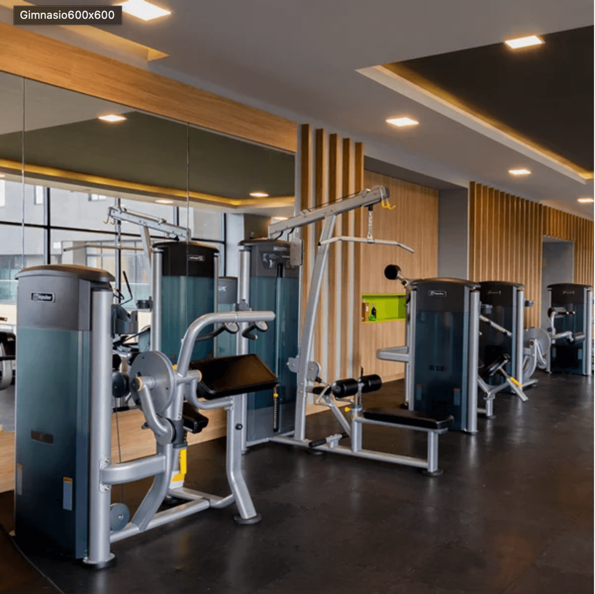 Mantente en forma en el gimnasio de Tive 3, equipamiento de primera en Bosque Real.