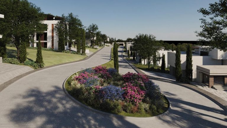 20250829_014438286_iOS