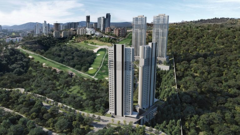 Lote 42 fotos bosque real (3)