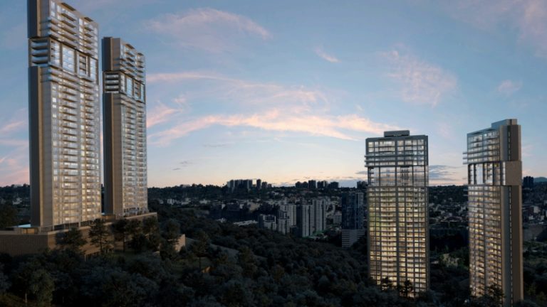 Lote 42 fotos bosque real