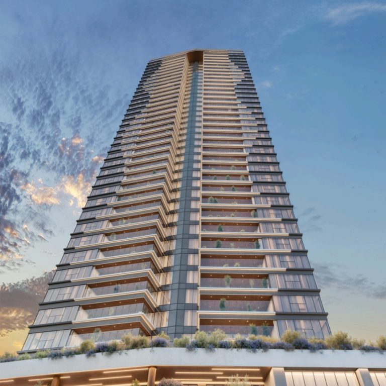 lote 37 fotos bosque real